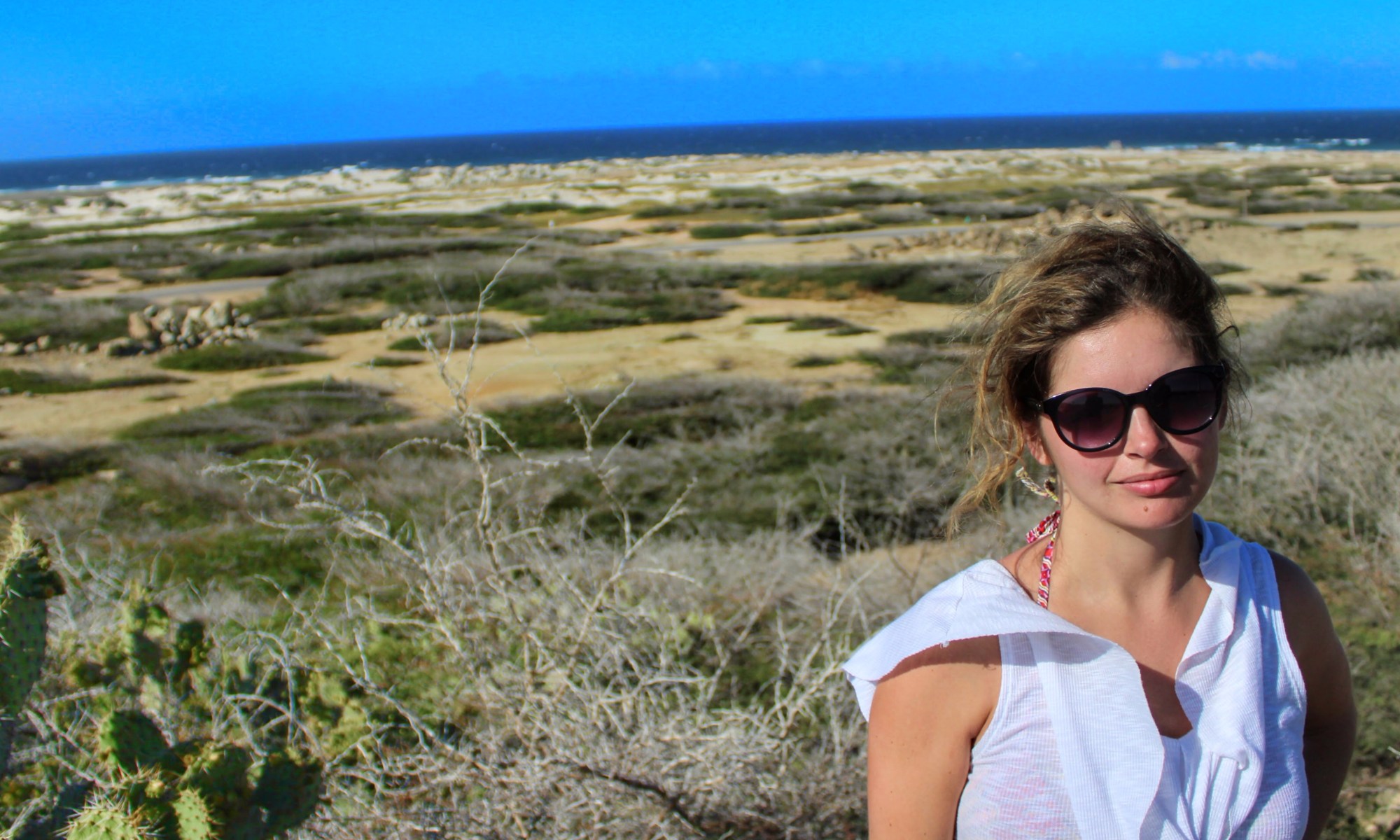 Travel or Else Aruba March 2017 Where to Go Next