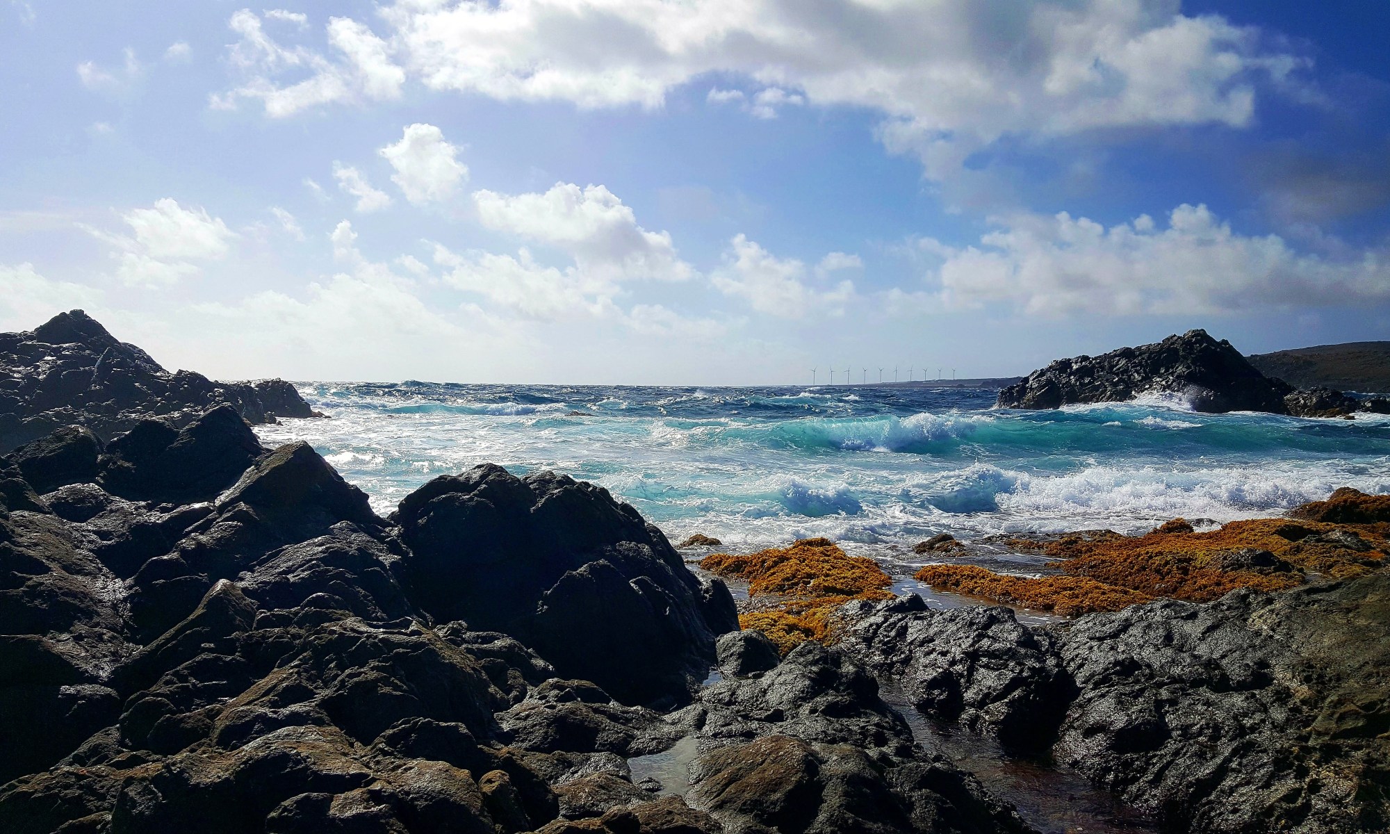 Travel or Else Conchi Aruba March 2017