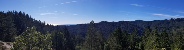 Travel or Else views from Muir Woods