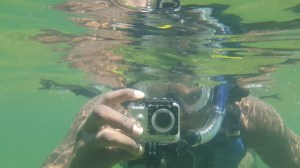 Key Biscayne Snorkeling