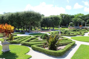 More Vizcaya Landscaping